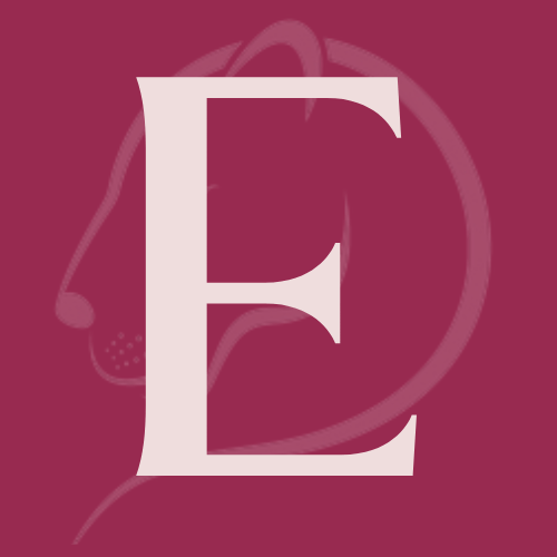 COMO DAR CONTA DE TUDO