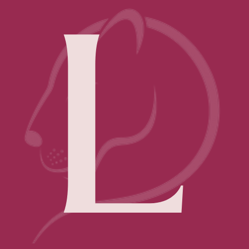 COMO DAR CONTA DE TUDO